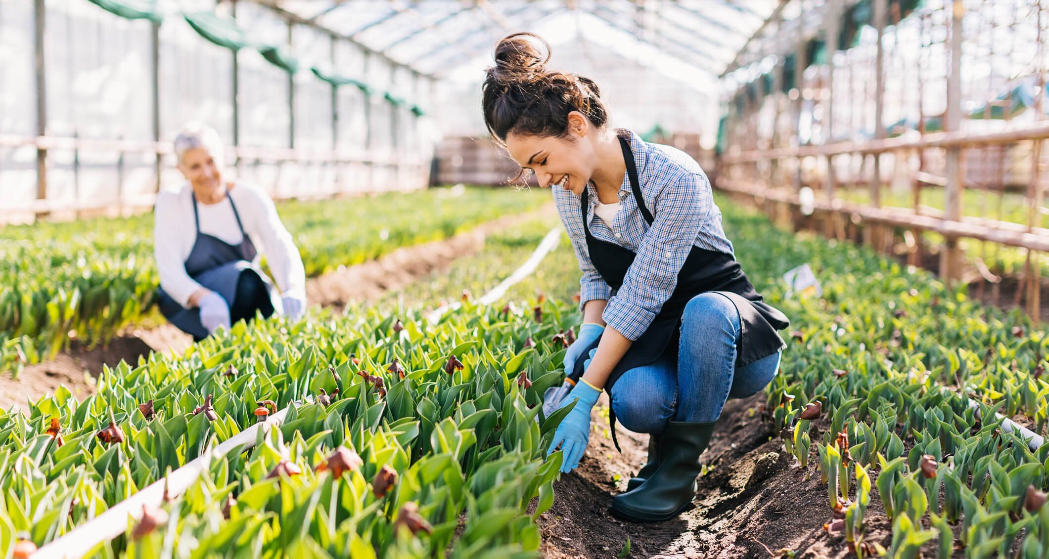 Building generational bridges for a better future